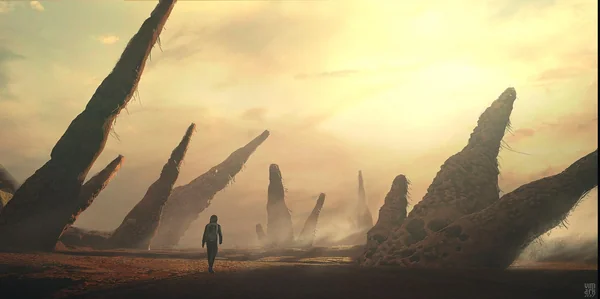 Pilars,2024